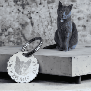 Kisállat névtábla